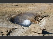 Gejsern Litli Geysir på Island.