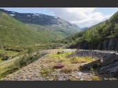 Blommor, grönska, stenar och väg i Storbjörndalen, Beiarn och Beiardalen, Nordland, Norge.